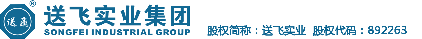 送飛實業(yè)集團